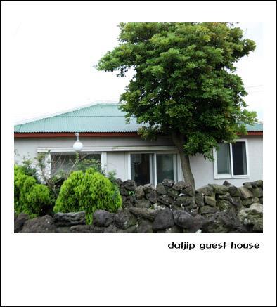 Jeju Daljip Guesthouse Екстериор снимка